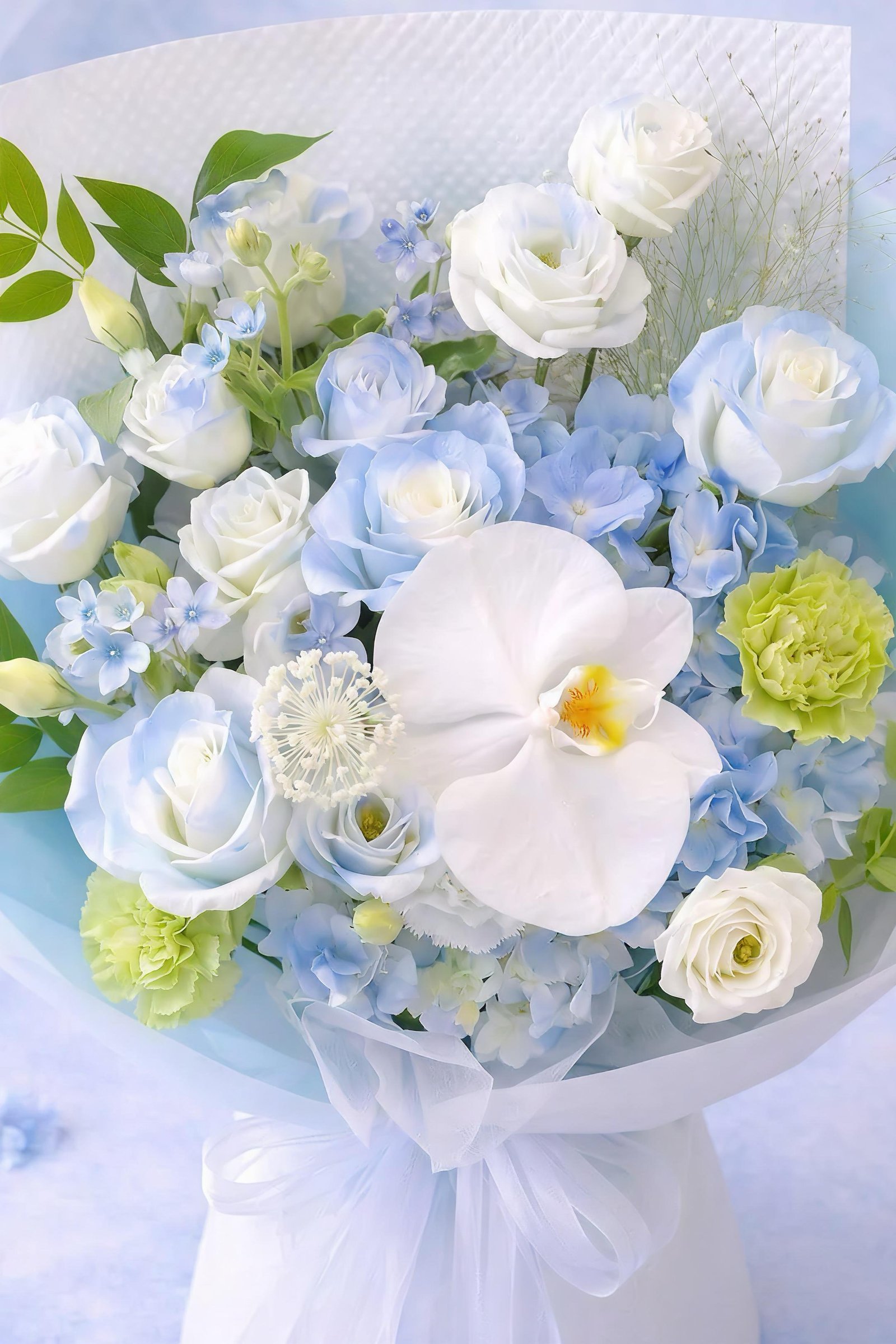 Bluebell Frost - View 3