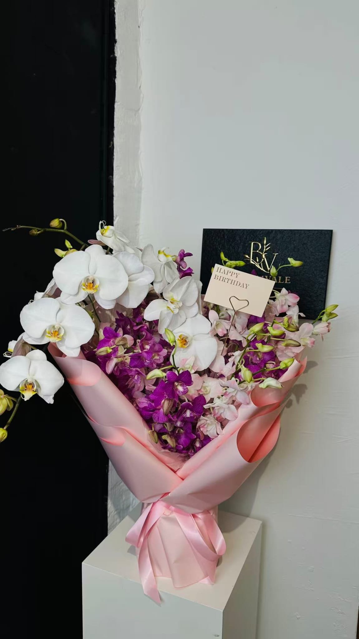 Orchid Dream - View 2