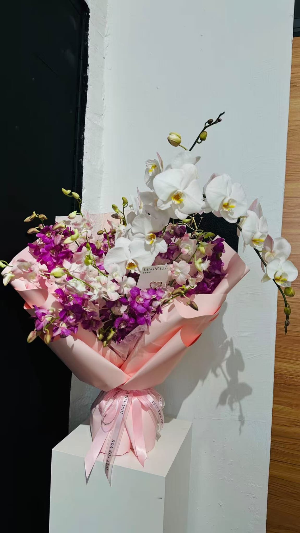 Orchid Dream